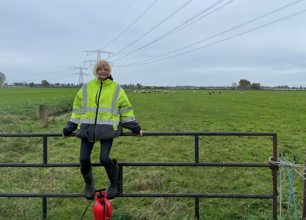 Wat opvalt in ons dorp #4: Boerin van de Boelenhamsestraat